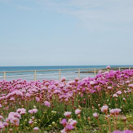 Salt Marsh Apartment Tywyn Kültér fotó