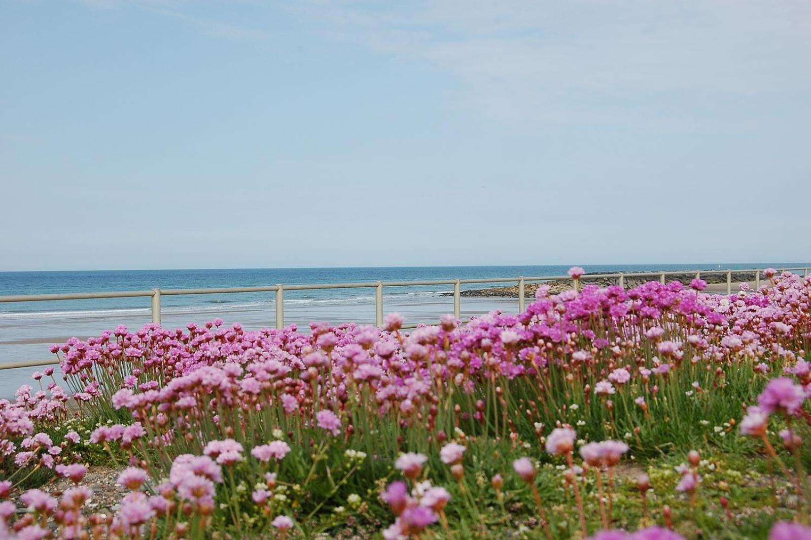 Salt Marsh Apartment Tywyn Kültér fotó
